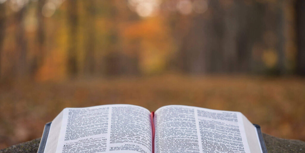 ahnsahnghong in the bible e1596943812956.jpg